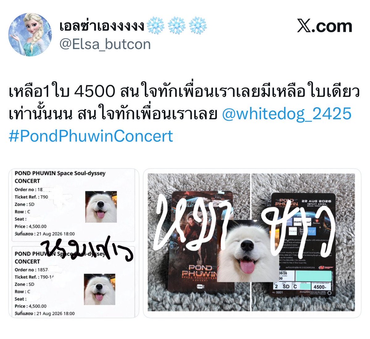 piggy_ppw's tweet photo. ระวังโดนโกงกันนะคะใช้สติในการซื้อ เป็นไปได้ไม่ซื้อบัตรอัพกันจะดีที่สุด🥺

#PondPhuwinConcert https://t.co/jH0eJVtVBT