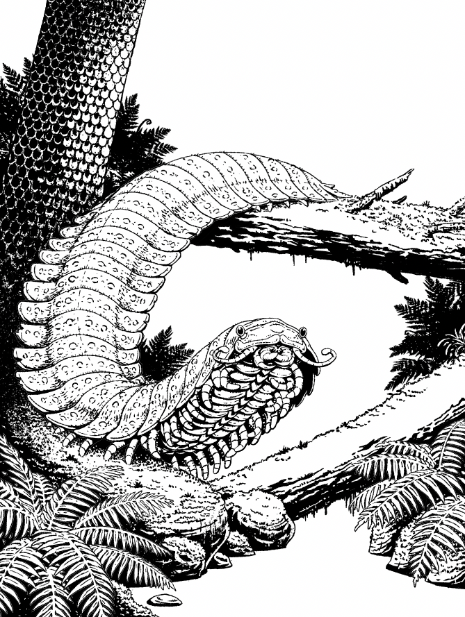 StievenVdP's tweet photo. alright, finally getting somewhere with this silly carboniferous spaghetto https://t.co/5YgXvnGxTN