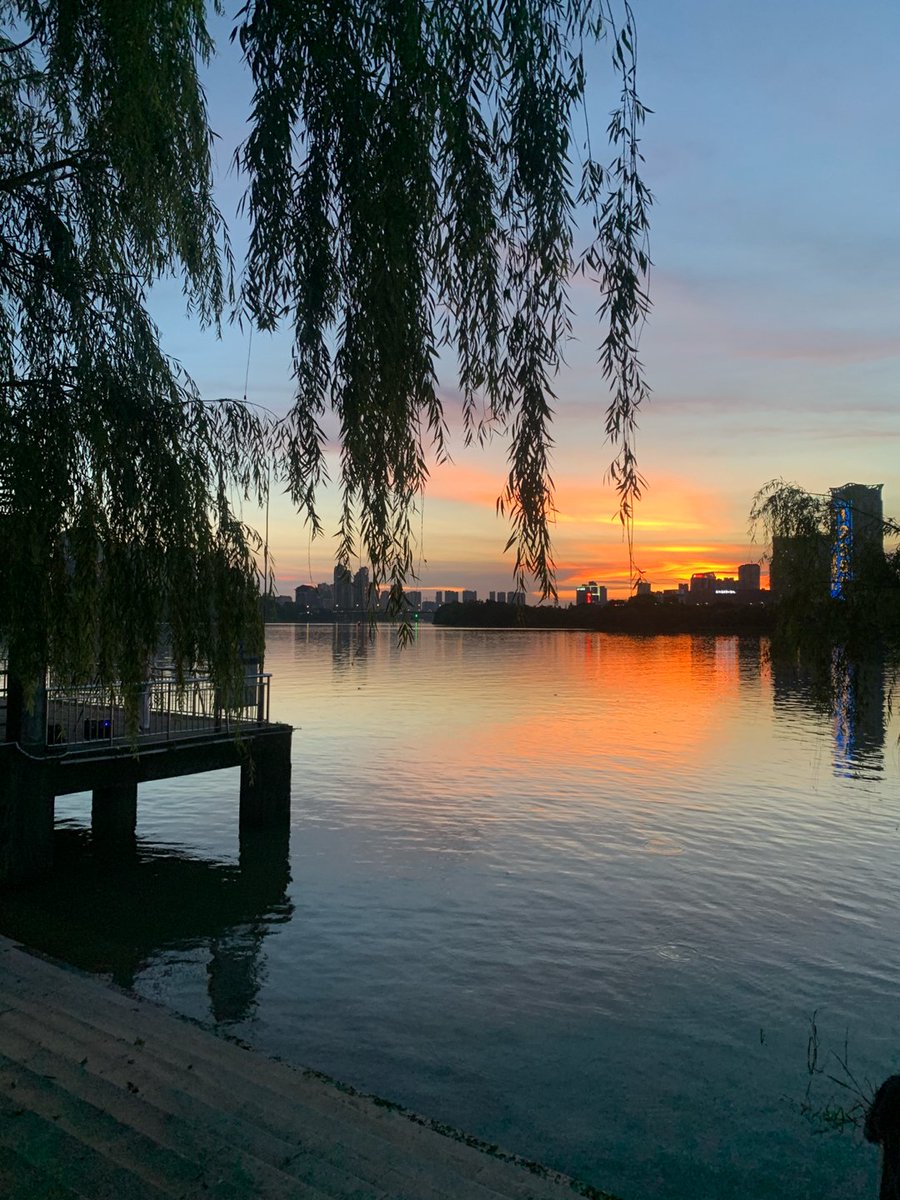 AlexisVissering's tweet photo. 今天赶项目上线熬了个大夜，下班路上撞见今早错过的超美日出，疲惫瞬间被治愈！ https://t.co/zPEyBfddJ9