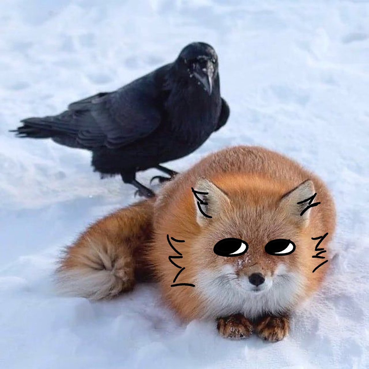 thecatidk's tweet photo. weird ahh friends #fox #animal #art https://t.co/DBX65OYcJy