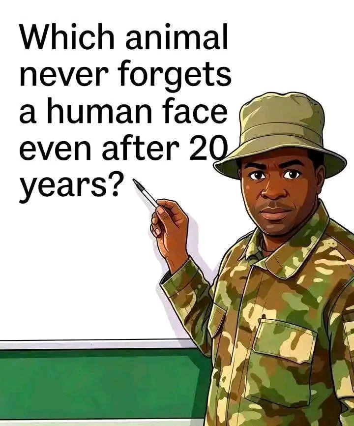 talk2leksmatt's tweet photo. Correct answers only 🤣🤣
#jokes #funnyposts #laughteristhebestmedicine https://t.co/mOnaufTM05