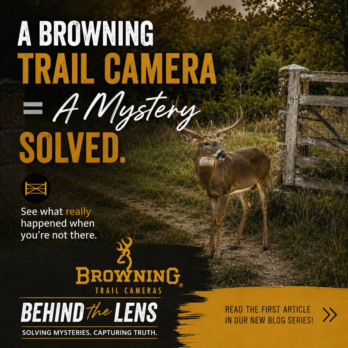 BrowningCams's tweet photo. Every property has a mystery. A Browning Trail Camera = A Mystery Solved. Read the first article in our new Behind the Lens series and discover what really happened.
#BTLwithBTC #BrowningCameras #AlwaysThere
https://t.co/gcWjlL06JY https://t.co/BY8Dxr53y7