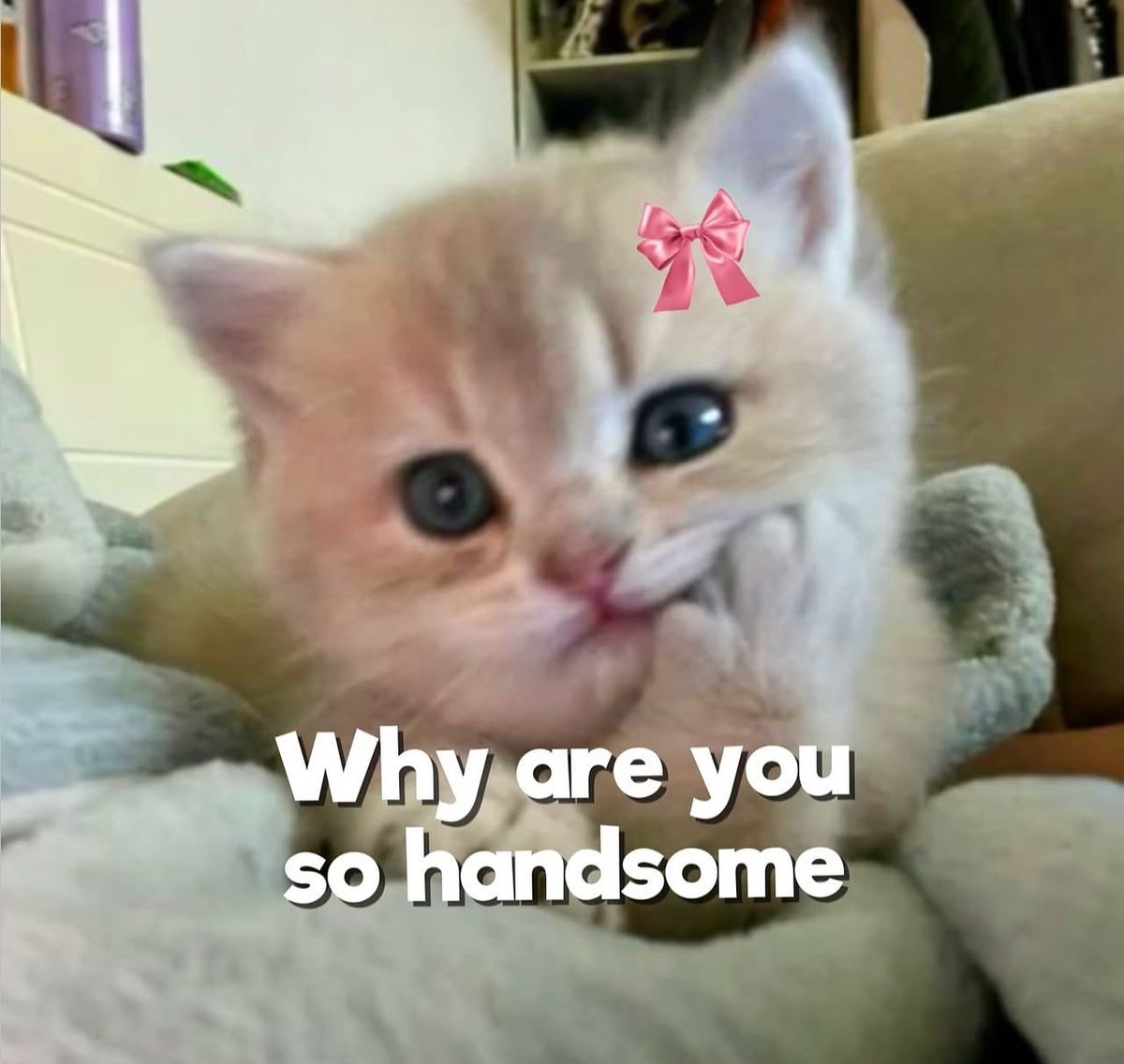 𝘒𝘢𝘭𝘶𝘯𝘢 𝘛𝘪𝘢𝘳𝘢 𝘈𝘳𝘴𝘺𝘪 𓍢ִ໋🌷͙֒ tweet media