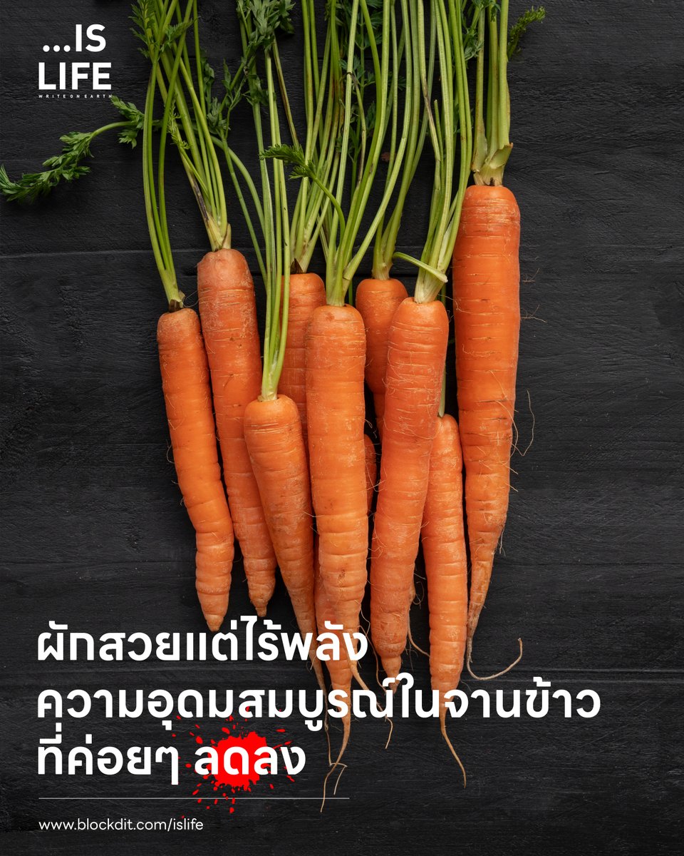 IsLife_Write tweet picture