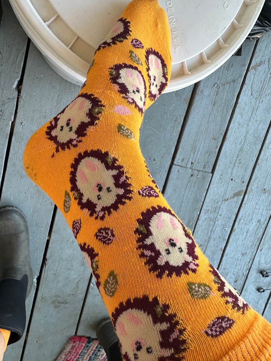 Lilbitt094's tweet photo. We are new to the community so lets see whose willing to mingle 🙃

Whose paying for the pedicure so mama can make you content 🥵🦶🏽🍑

#feetphotos #sockobsession #BlondeWithInk #contentdeals https://t.co/H7xU9bIgtH