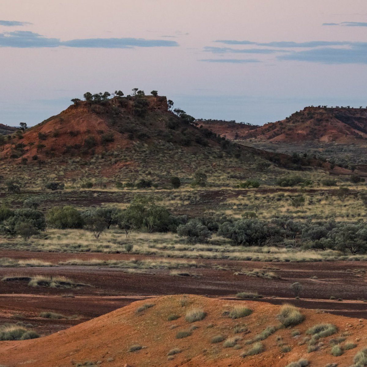 BushHeritageAus's tweet photo. Reflecting on more than 10 years of nurturing Pullen Pullen Reserve; its ancient rock formations and irreplaceable biodiversity, including the critically endangered Night Parrot. 

Read more 👉 https://t.co/7gW0DwpkD4 https://t.co/MvOPKWCu3Y