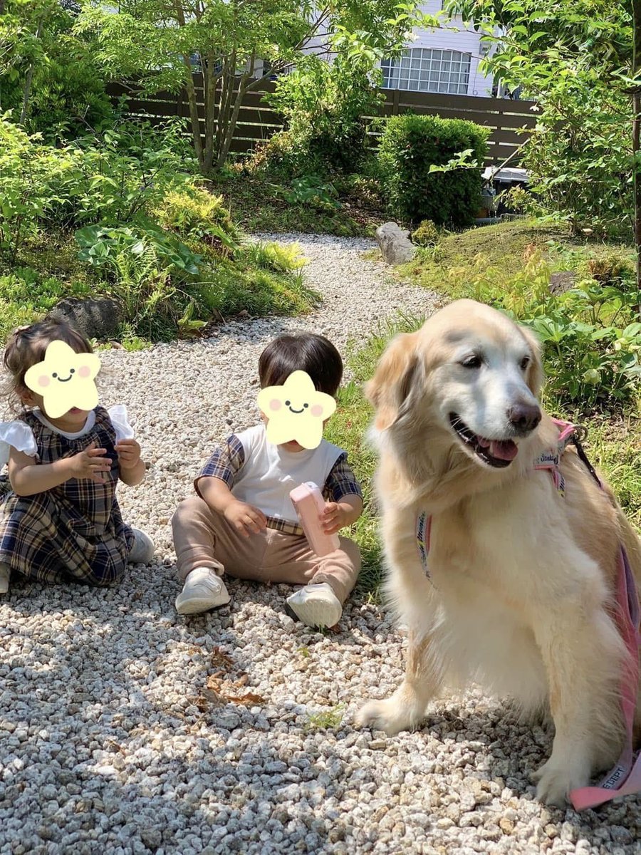 larph_crea's tweet photo. ２年前の今日の写真
双子ちゃんと
ガーデンカフェで🌿 https://t.co/jcQXbxeCUm
