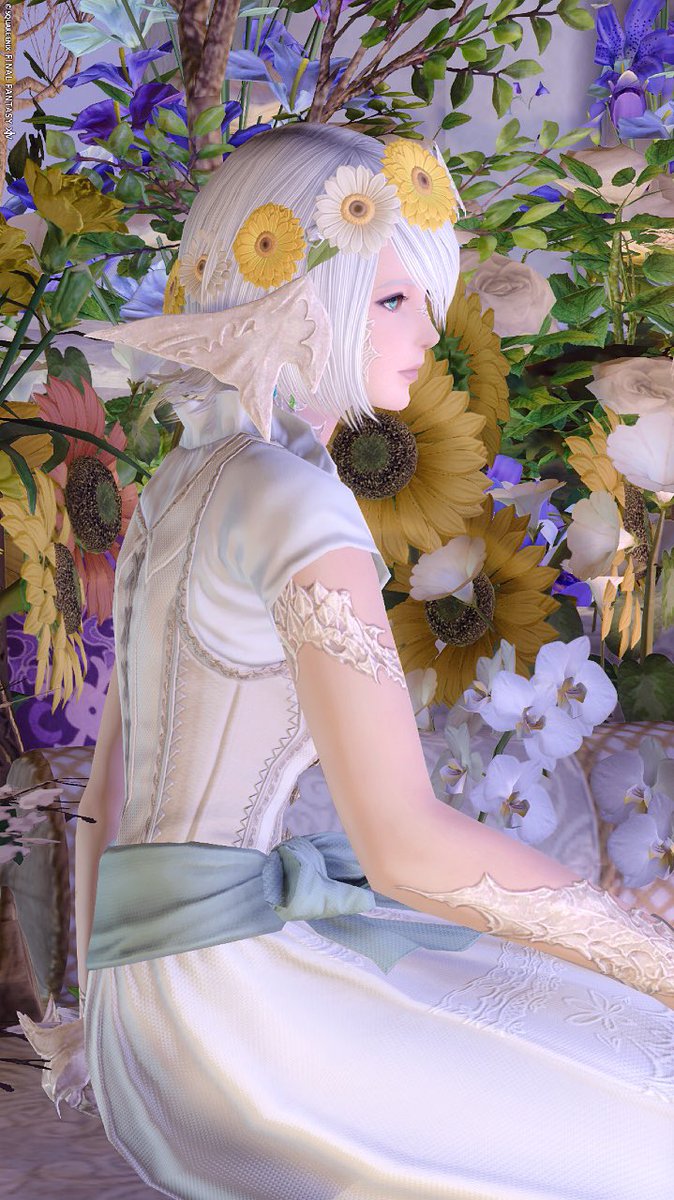 siestaFF's tweet photo. おはようございます🌱✨
#おはウラ
#のんクオリティー https://t.co/E2ewdqmaQf