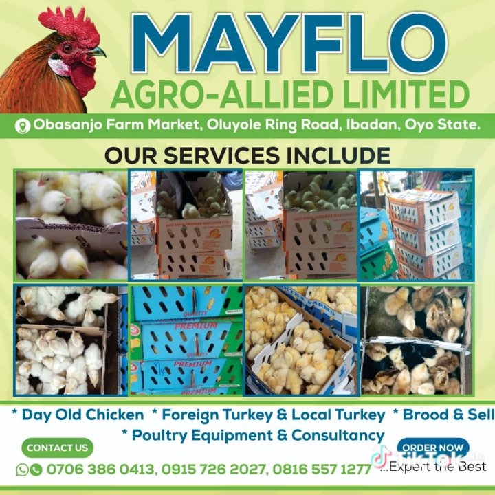 MOM_09826's tweet photo. @bossolamilekan1 @bossolamilekan1 please sir, patronize my business https://t.co/mCrTHDmSpp