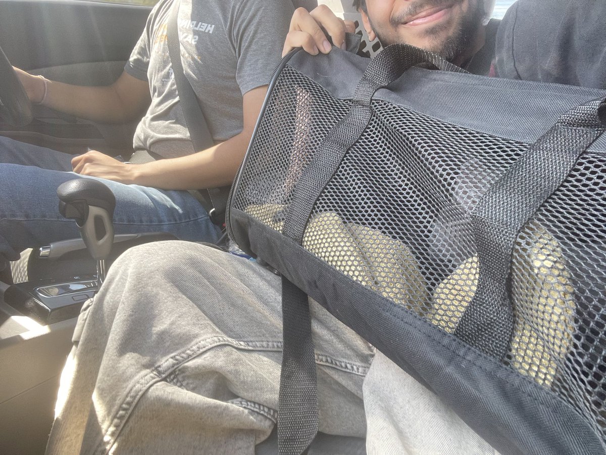 insideUrFather's tweet photo. Kitten transport duty yesterday. Look at this framed tapestry I got off facebook marketplace!! https://t.co/A5bShJJpLH