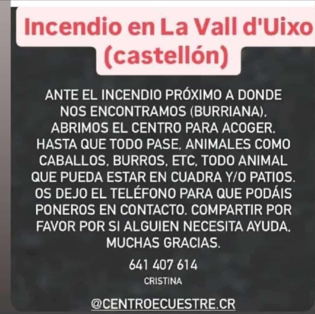VOSTcvalenciana's tweet photo. 🔥#IFLaVallDUixó 
🫏🐎 Nos llega este ofrecimiento de ayuda para la atención de caballos, burros y animales estabulados. El centro está en Borriana. https://t.co/q6qpZkIhEa