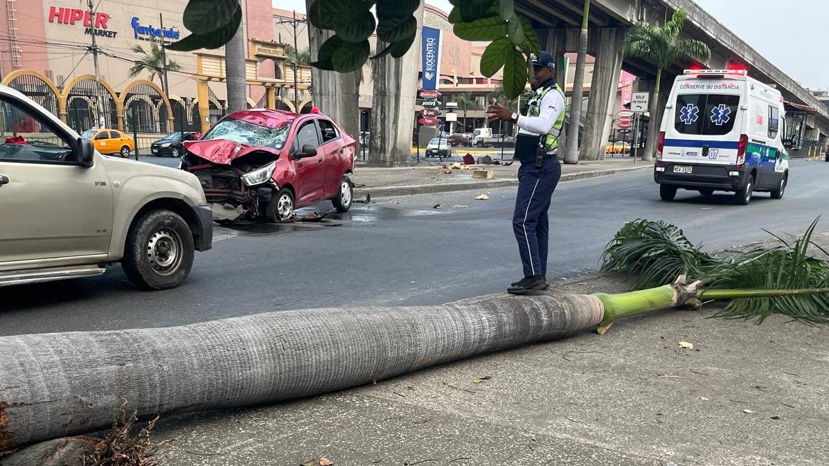 ATM_Transito's tweet photo. 🚨Se registra #Siniestro de tránsito en la Av. 25 de Julio, cerca de la Universidad Agraria del Ecuador, sentido hacia el norte. 

Personal de la #ATM coordina la atención y control del tránsito en el sitio.

#CiudadDeTodos https://t.co/ibCWFybQNe