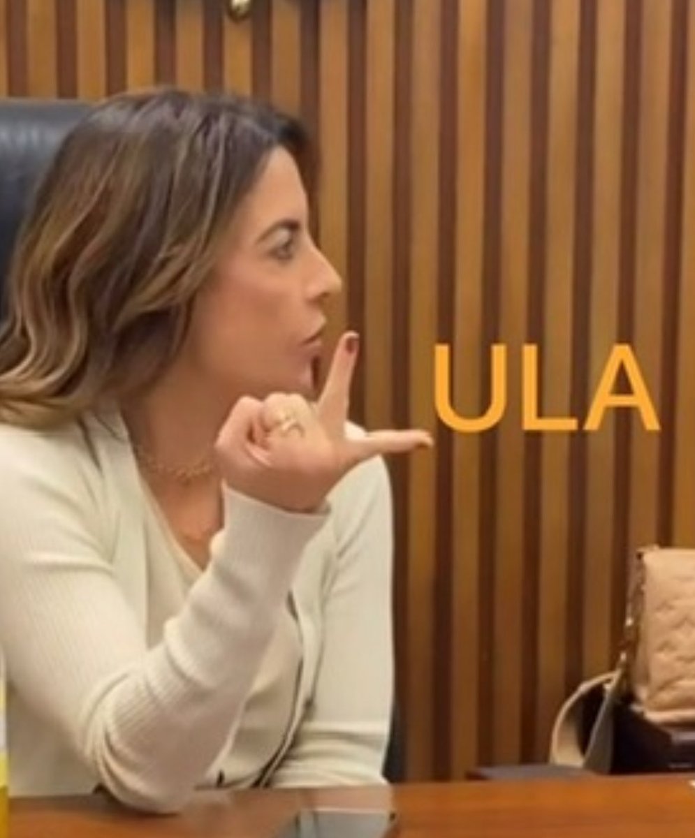 madu_no_cerrado's tweet photo. Tive que voltar para essa rede social, porque a melhor temporada do ano vai começar: as eleições! 🥳🗣️ https://t.co/dMNg0haj5P