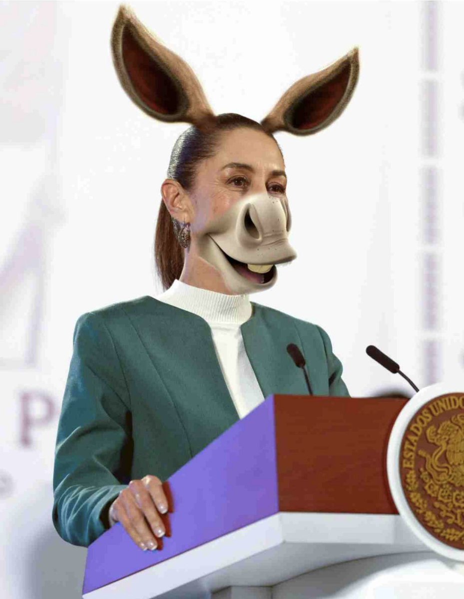 NigelSwander's tweet photo. @JJDiazMachuca @SokolVcas86398 Bueno… pues la porra esta, imitación barata de presidente, inteligente no es… 🙄🙄 https://t.co/QTeYGahuWO