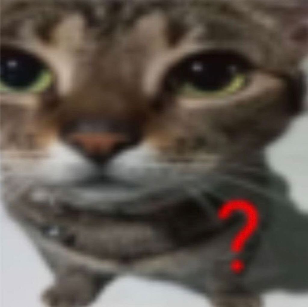 gatinarios's tweet photo. ❓ https://t.co/Obh6iG02UI