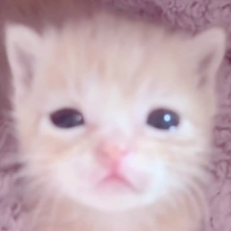 luujm12303's tweet photo. @ormendoim e ta bem isso mesmo viu lu https://t.co/fpaNBDpW5g