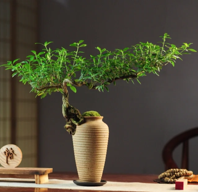 SibylSaxtoocbl's tweet photo. 今天逛小展撞见温柔！用指尖在陶土上捏出半开的花，指缝沾的泥都带着松弛感 艺术本来就是没标准答案的快乐呀～ https://t.co/RObrYadrz8