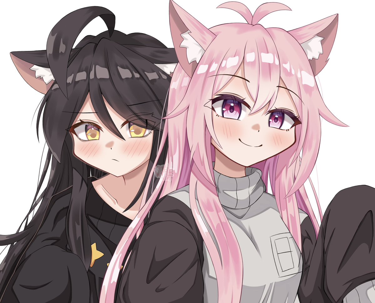 that1guywaffle's tweet photo. Two Cats🩷🖤
#shachimu https://t.co/o2gdypXXaU