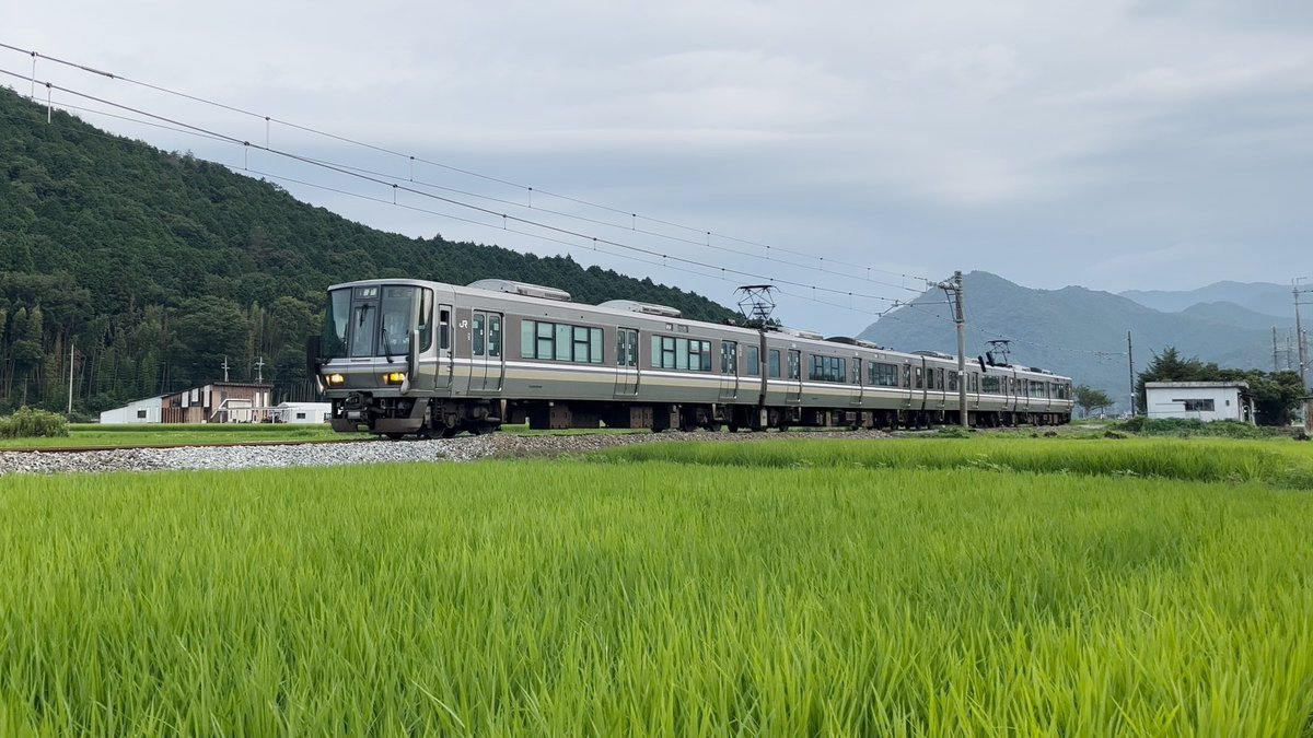 189_Hamakaze's tweet photo. 2026年7月27日、朝の播但線223代走を撮影。
昨日5671Mが姫路に帰らなかったので代走あると思いました。
姫路行き、新野→鶴居、6時42分頃撮影。 https://t.co/x0MYoO35Dq