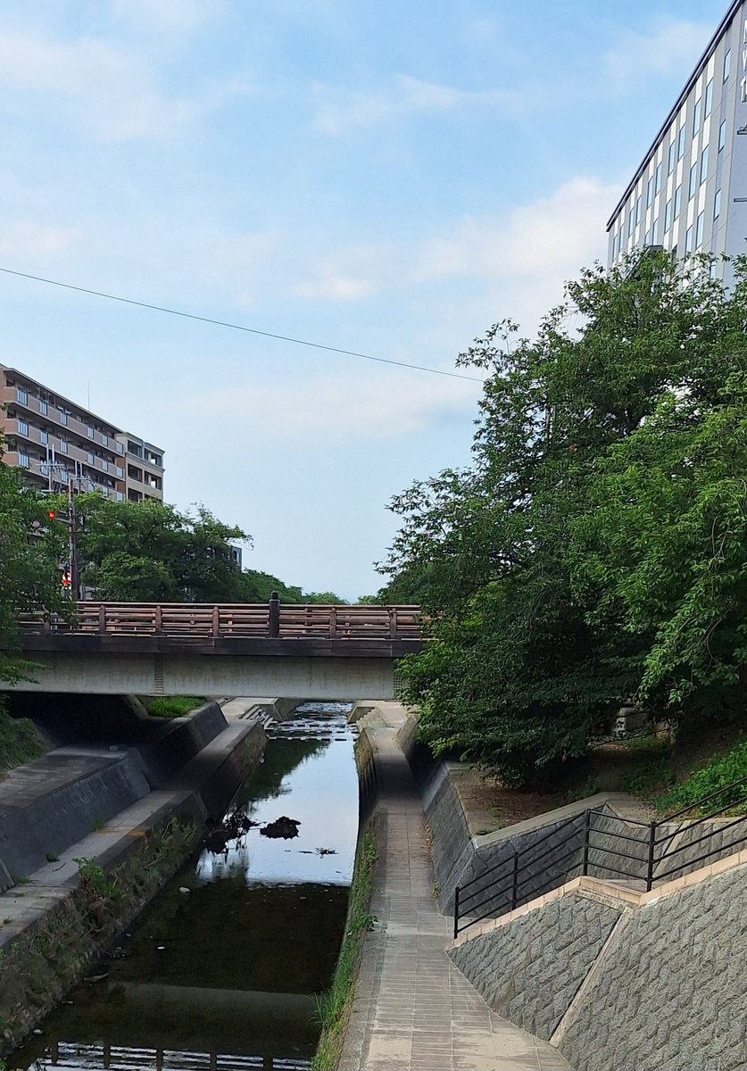 h_dendoshi's tweet photo. おはようございます🙋

今朝もいいお天気で暑いです🌞

朝ごはん待ちのトラちゃんと黒猫ちゃん🐈️🐈‍⬛
阪神勝って元気にモグモグ(=^ェ^=)(ФωФ)

げんけん元気に月曜日
今週も頑張ります😃

#イマソラ #猫のいる暮らし https://t.co/VlXrHZkhBY