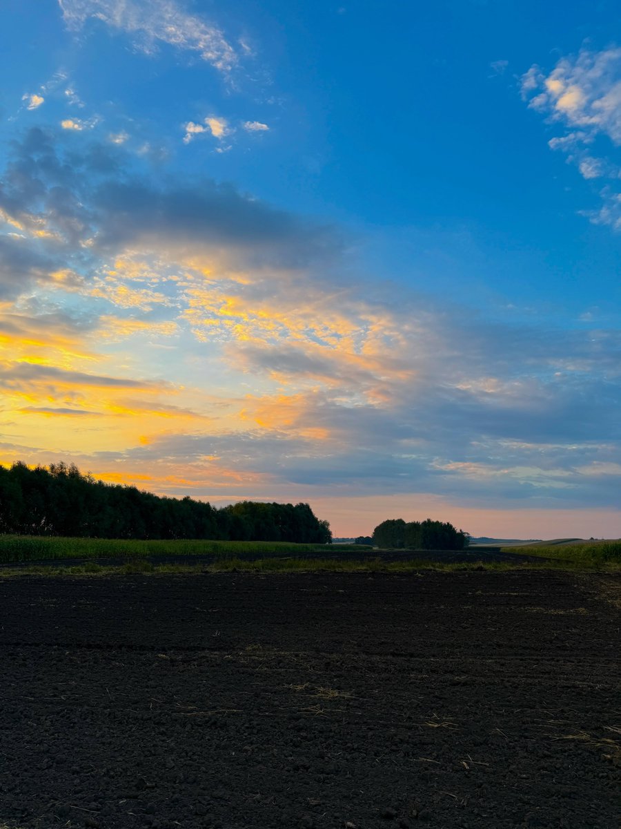 purelivn's tweet photo. sunrise in countryside https://t.co/t5bnhCsL0O
