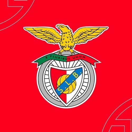 MadridXtra's tweet photo. 🚨 CONFIRMED: Franco Mastantuono will VERY LIKELY leave on loan.

BENFICA are interested. @Sergivalentin_ https://t.co/0PYyYV7XD4
