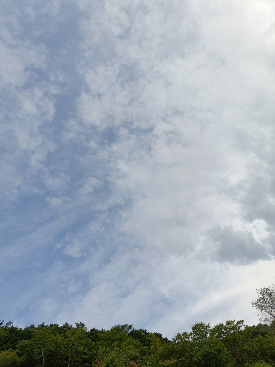minekait's tweet photo. 本日の美作市の天気曇り⛅️ https://t.co/pcR2q9Y83V