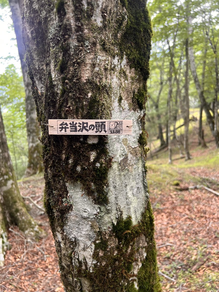 pokarin_nan's tweet photo. 土曜は玄倉〜丹沢山〜塔ノ岳〜大倉ハイキング⛰️
コースちょっと過酷だったのと、ヒルと毛虫がはんぱなくて精神的にもつかれた😱ただヒルには勝った！
来月TTTやろうと思ってたけどいなくなってからにする🥹 https://t.co/tb9cveNOJW
