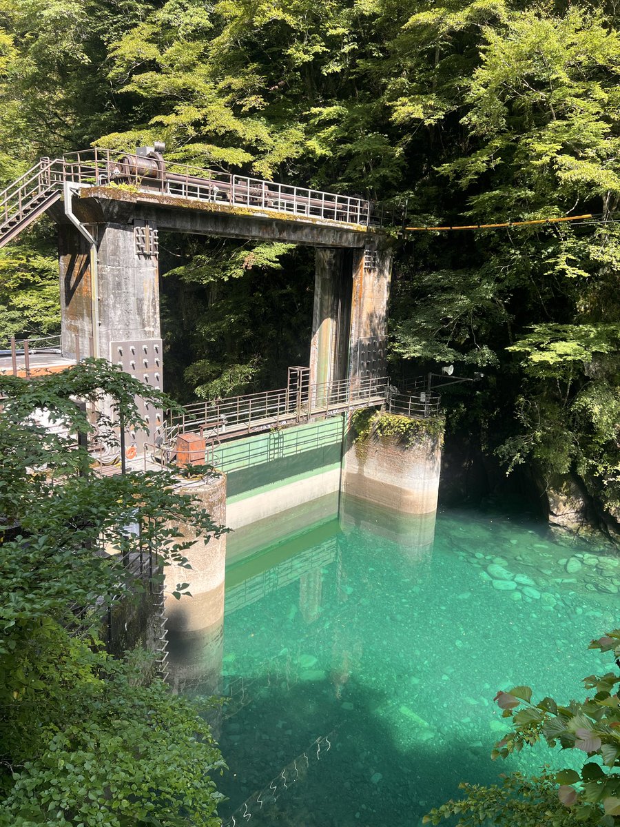pokarin_nan's tweet photo. 土曜は玄倉〜丹沢山〜塔ノ岳〜大倉ハイキング⛰️
コースちょっと過酷だったのと、ヒルと毛虫がはんぱなくて精神的にもつかれた😱ただヒルには勝った！
来月TTTやろうと思ってたけどいなくなってからにする🥹 https://t.co/tb9cveNOJW