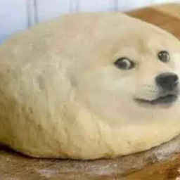 MintedXBT's tweet photo. Breadcat is ABSOLUTELY SENDING RN and I think since we are in a doge meta its only right to run DOUGHE https://t.co/3PvsFUMVEb