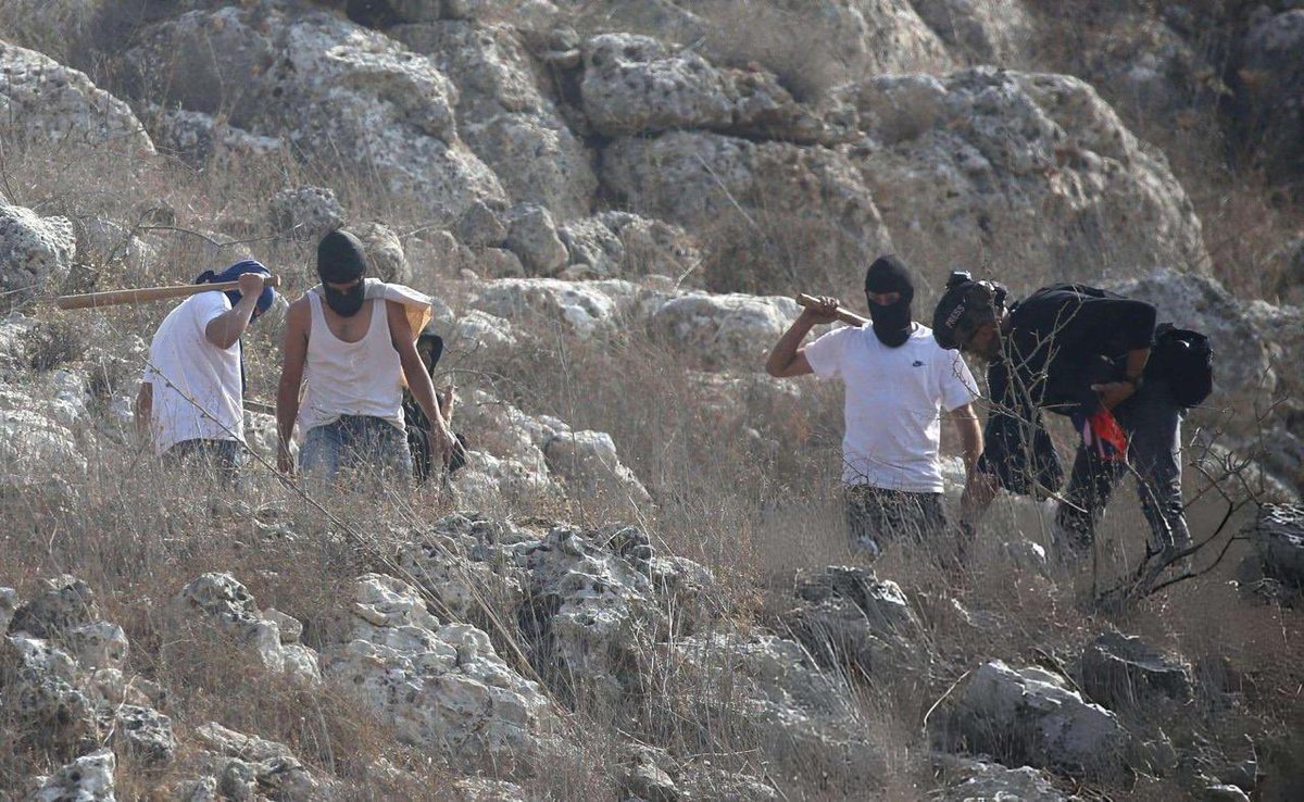 QudsNen's tweet photo. According to Israeli media reports, attacks by Extremist Israeli settlers against Palestinians in the West Bank increased by 63% during the first half of this year, with 30 hate crimes committed by settlers on weekends alone.

During those attacks, 140 Palestinians were injured and six were killed, compared to 82 injuries and no deaths in the second half of 2025.

The surge has coincided with increasing political support for settlers, protection provided by the Israeli army, and the continued expansion of settler armament.