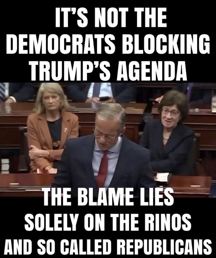 PatrioticDee's tweet photo. @GuntherEagleman @LeaderJohnThune Traitors… all of them! https://t.co/15Tf1jmF2P