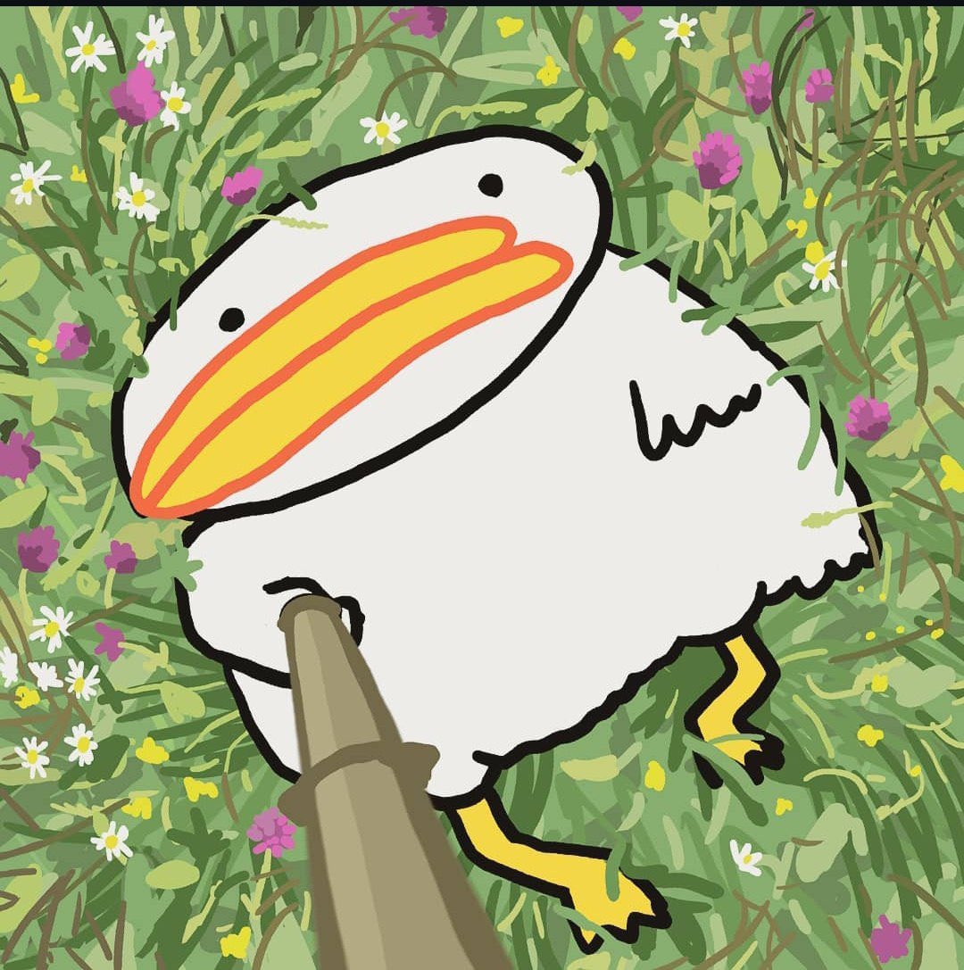 MAGILA_QUEEN's tweet photo. @Utiaton seagulls are very wise and cunning
🧠
$UTIA https://t.co/DtD3Z32Lg4