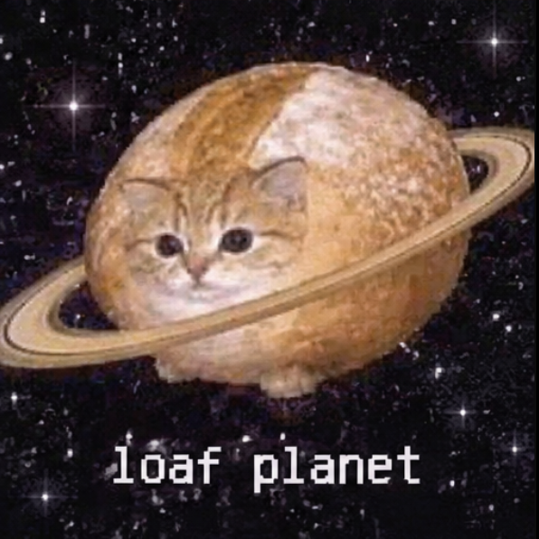 breadcatpf's tweet photo. X community is being set up

the breadcat multiverse will be open soon https://t.co/7tfBCBh0TX