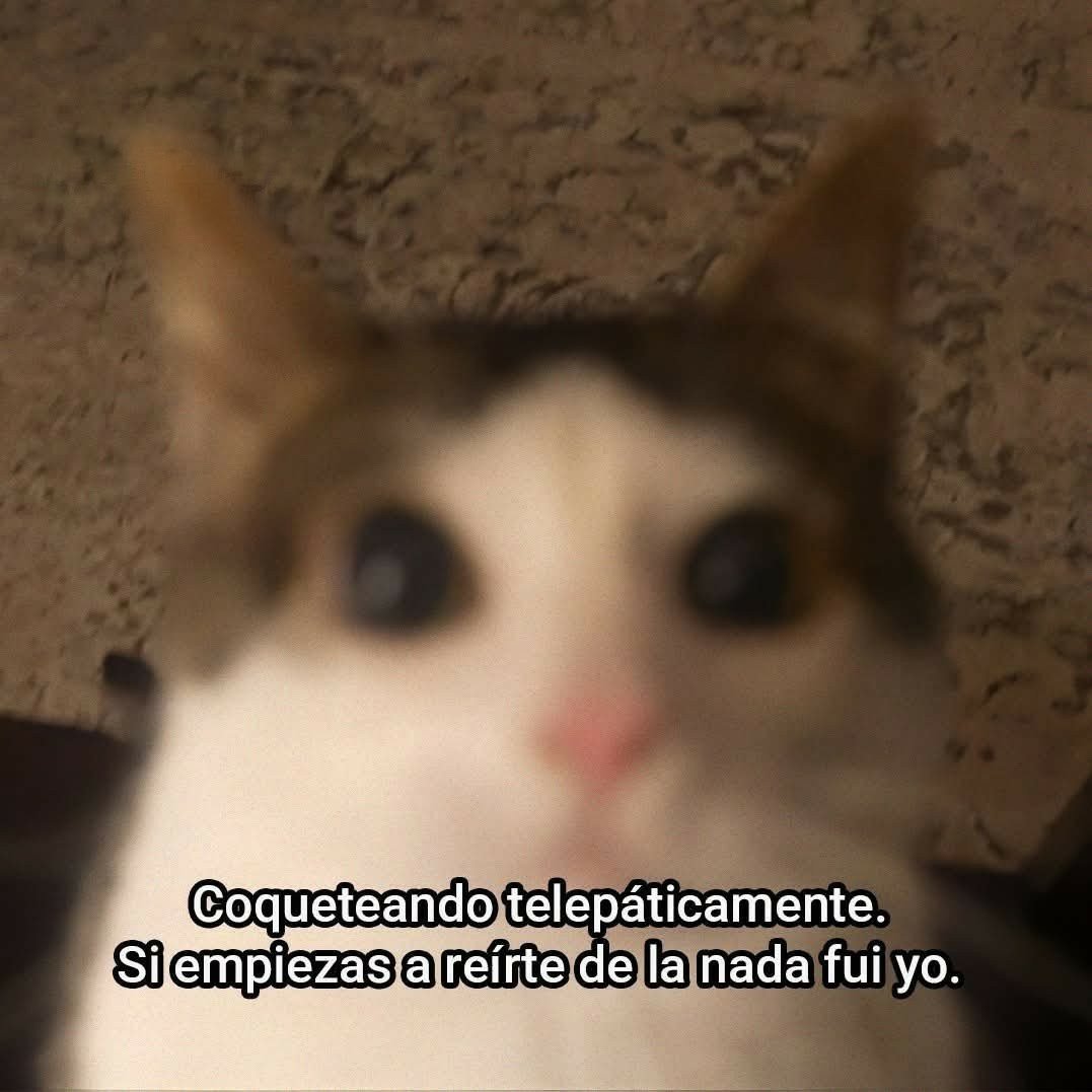 MNamoradinho's tweet photo. https://t.co/FJIrADrqFb