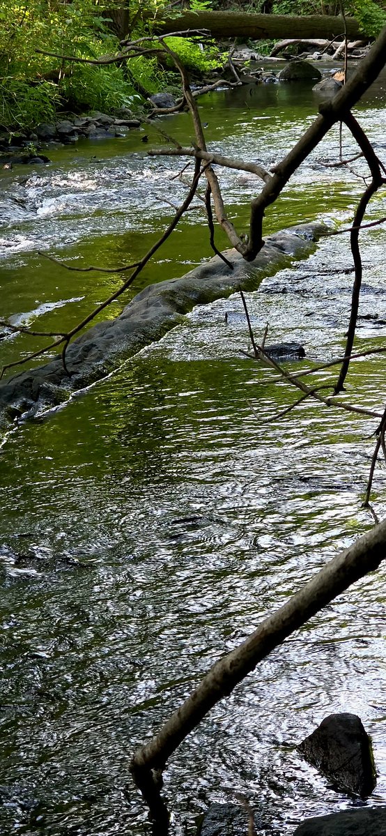 avecsesdoigts's tweet photo. Cool by the stream https://t.co/mtOEApSBPV