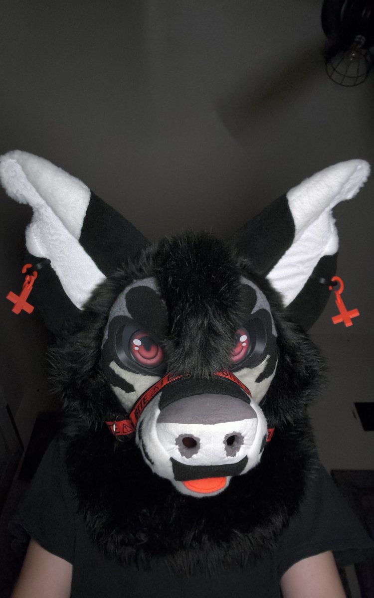 CrowleyMalaMute's tweet photo. Took some new Fursuit pics of Crowley last Night #Fursuit #hellhoundhybrid #emodog https://t.co/rL4AGdF1pS