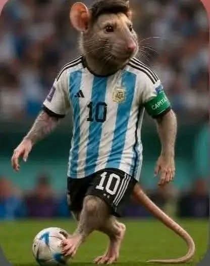 obelem's tweet photo. @abrilcba_ Ya nadie le quita su lugar.
El peor jugador tramposo del mundo https://t.co/kMdA0CEkj4