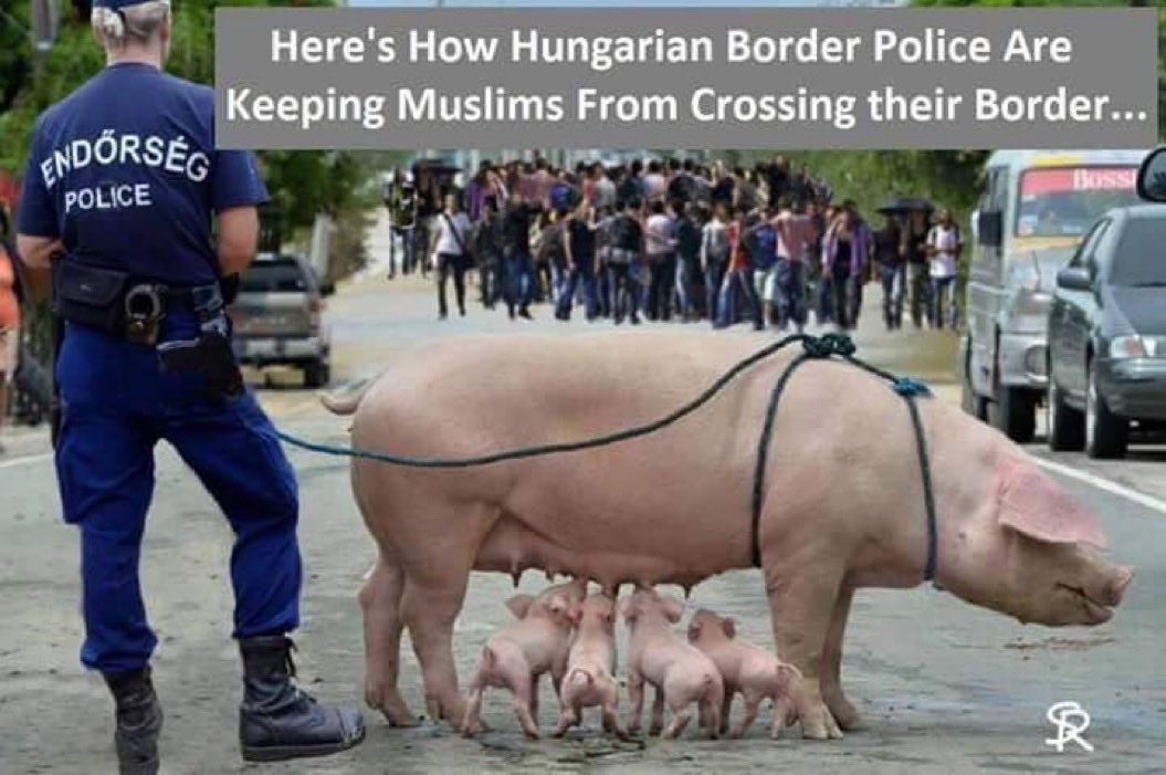 B01unn26's tweet photo. @TruthFairy131 @the_christnats Here is an idea. Just saying. https://t.co/gHSUnT0TGw