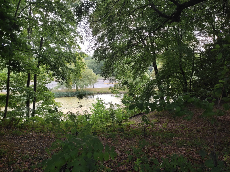 neocyclopi's tweet photo. Sunday Morning @The_Life_Bomb🌱 #Walk 🚶
⚡️47 Energies #M2E🏃
🪙 Daily Earnings: 920.28 $CATKN
✅ Guardian Bonus Enabled
🍯 Nectar Reward: Volume M
✅ Weekly Challenges: 50km Done
Great New Week is Coming… https://t.co/PNckvCoTDz