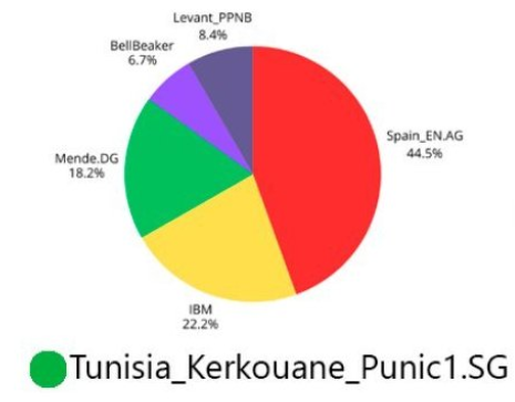 TutsiGenocide's tweet photo. @ferhat924 @Inceltibero_ @yandereville It's actually 0% to the very up 11% and tanning doesn't equal to north african ancestry because it's residual https://t.co/JWqvf6aUMD