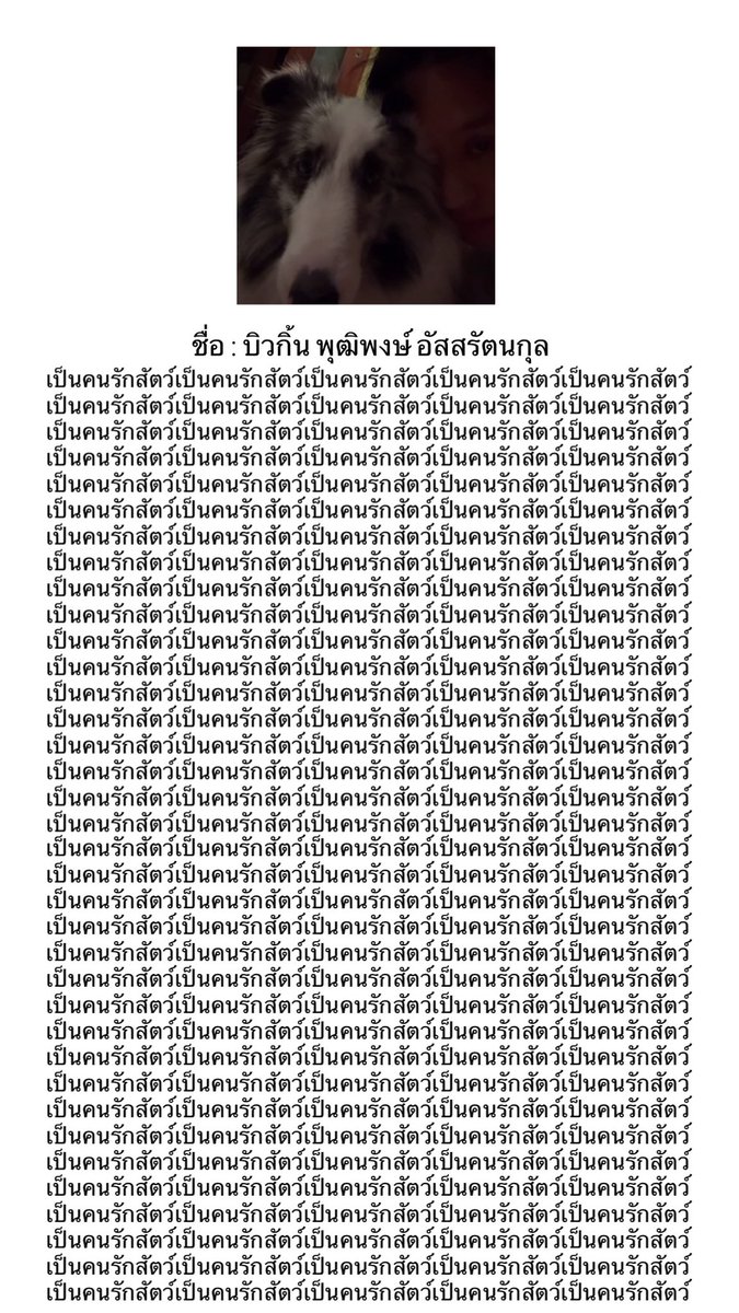 chelermamiibkpp's tweet photo. เรซูเม่บิวกิ้น https://t.co/kJj3cdOvtT