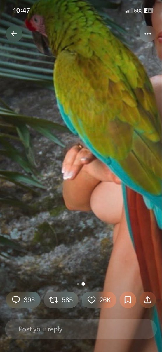 AwildKikachu's tweet photo. @sierraraexo @PopBase That’s her elbow and her hand stretched weird (her thumb is fully extended). She’s in a more unnatural pose due to her letting a bird perch on her. It’s honestly concerning how critical thinking skills seem to be uncommon these days 😭 https://t.co/DxwCz2iO5u