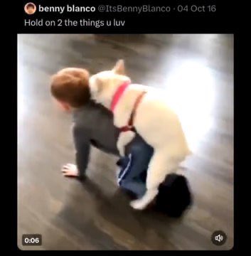 flwr1247's tweet photo. i already feel sorry for that child https://t.co/LscWzO0u1v