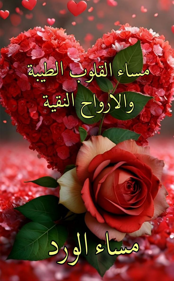 v8dh2's tweet photo. مساء السعادة https://t.co/Tl67AygJ9b