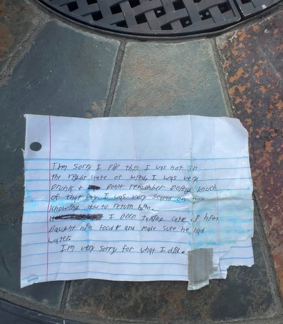 PaintressApril's tweet photo. The dog that was stolen from a porch in Colorado Springs has been returned with a note. The man said he was drunk and couldn’t remember taking the dog. The owner in last photo has been reunited with his dog Blanco now! https://t.co/vCCl8WBLv9