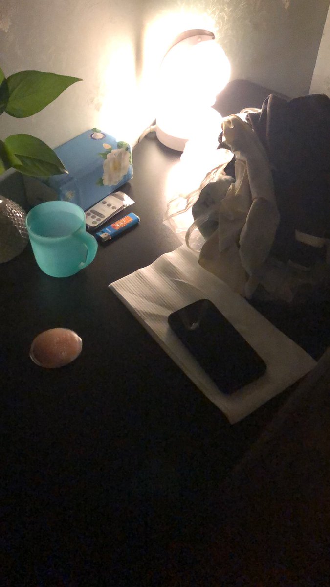 nuolin2580's tweet photo. 不得不说，几年没见，含羞草身材依旧很好，性价比还是一如既往的高 https://t.co/Kt2QCBugta