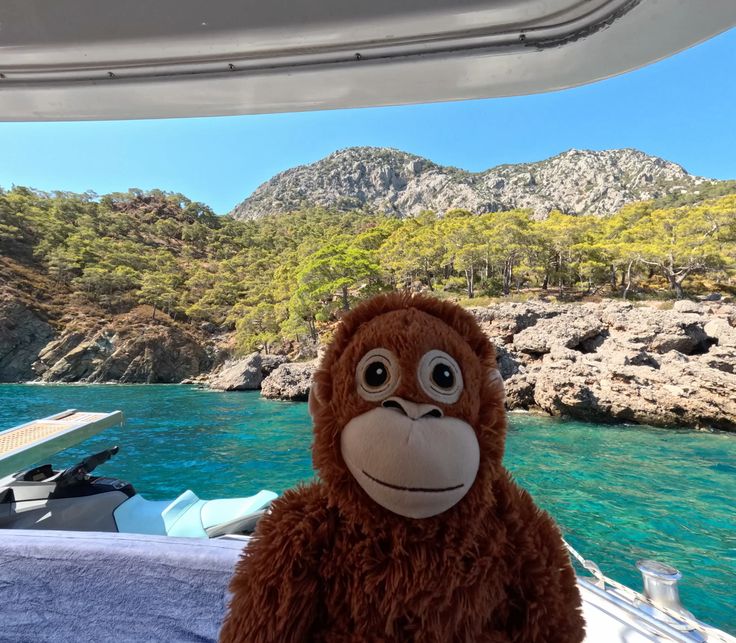 SporkLAD's tweet photo. #dailymonkey https://t.co/jb0EtvEuni