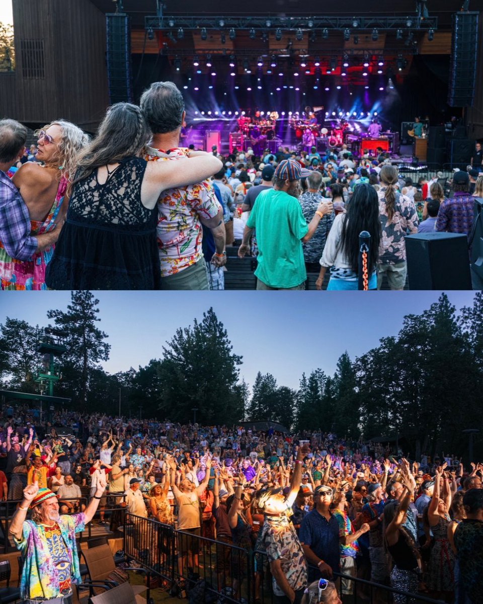 SCI_Official's tweet photo. Blissed at the Britt!

📸: Matt Honnies
@brittfestivals https://t.co/VWg7noy2ND