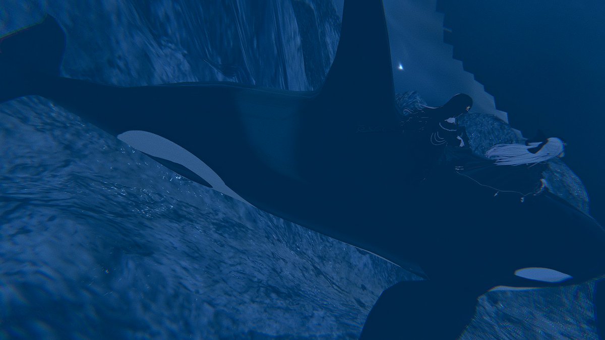 aorca_vr's tweet photo. かわいいシャチさんに乗れるワールドにいってみたよ！VRだとちょっと怖かったからデスクトップ！
海が絡むワールドは時々海洋恐怖感を感じちゃったりする・・・！ https://t.co/XpBEFYQaJl